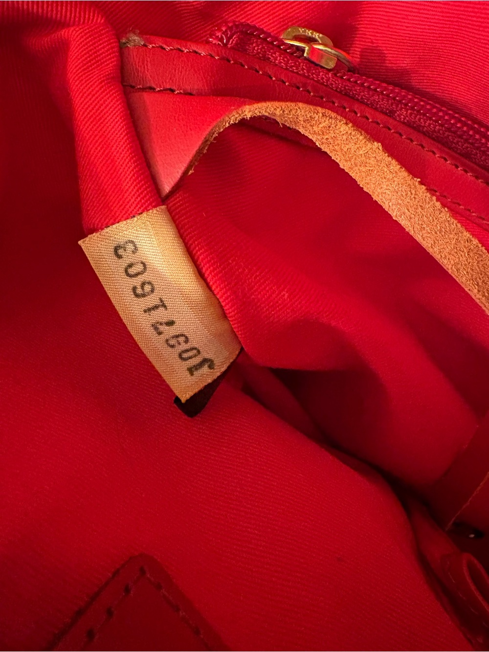 Dooney & Bourke Zebra Print Lee Tote Red Leather & Suede - Picture 13 of 13